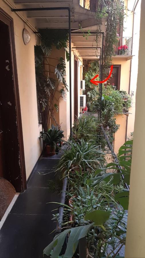 Charme De Rome Vatican Apartment מראה חיצוני תמונה